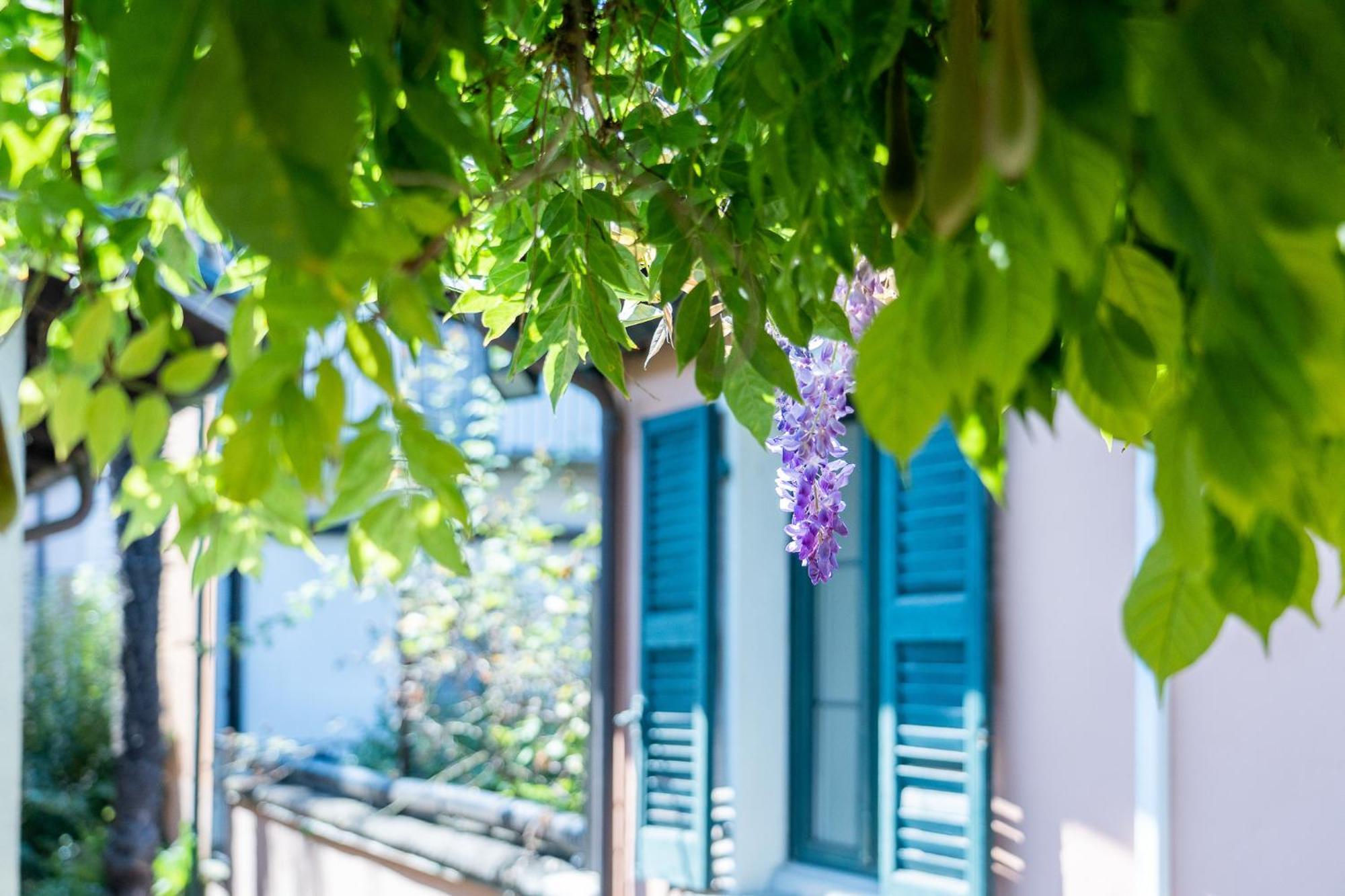 Seven Boutique Hotel Ascona Eksteriør bilde